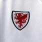 Camisa Torcedor País de Gales Away Copa do Mundo 2022