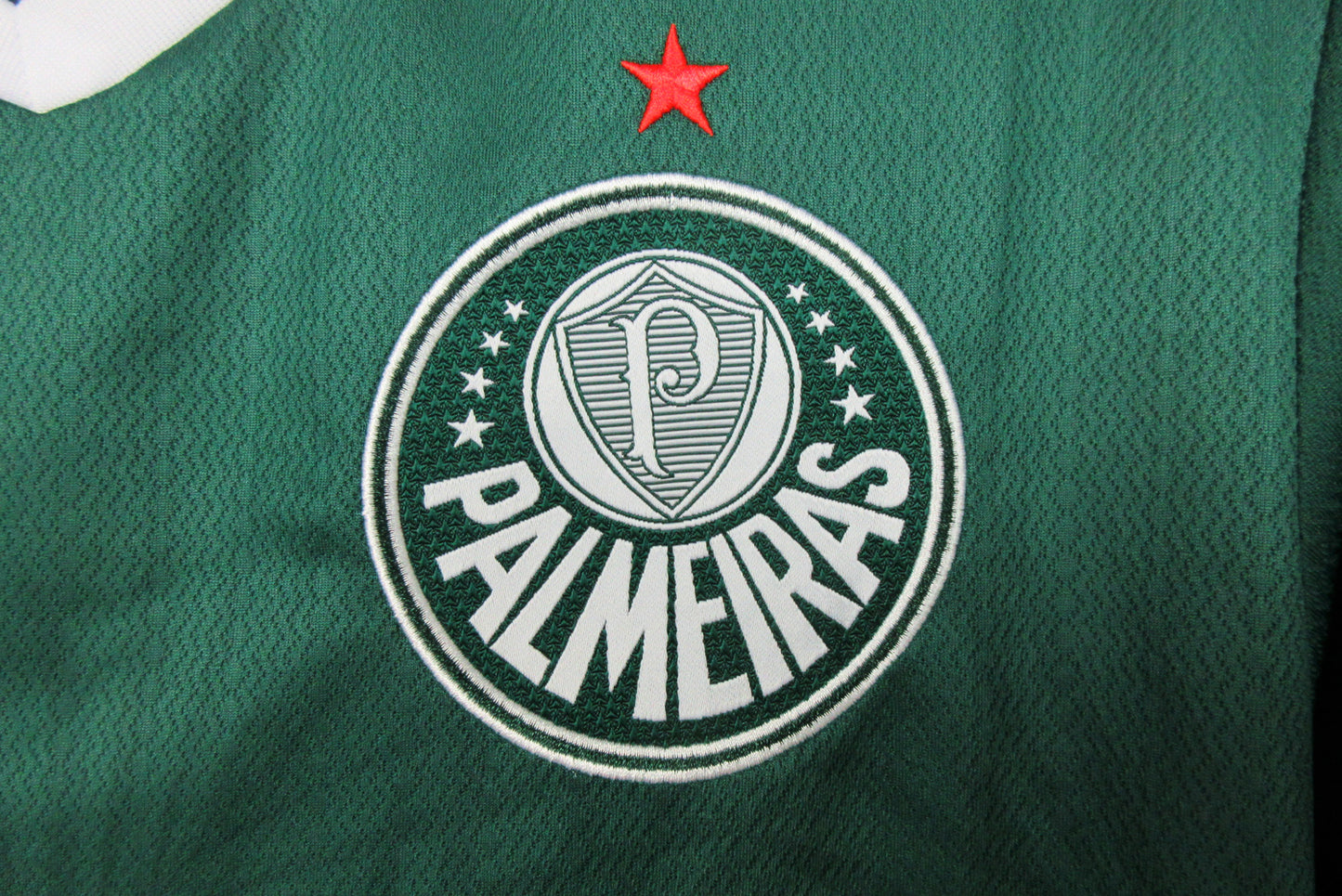 Camisa Torcedor Palmeiras Home 22/23